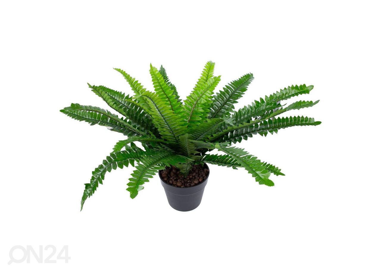 Kunsttaim Boston fern 60 cm suurendatud