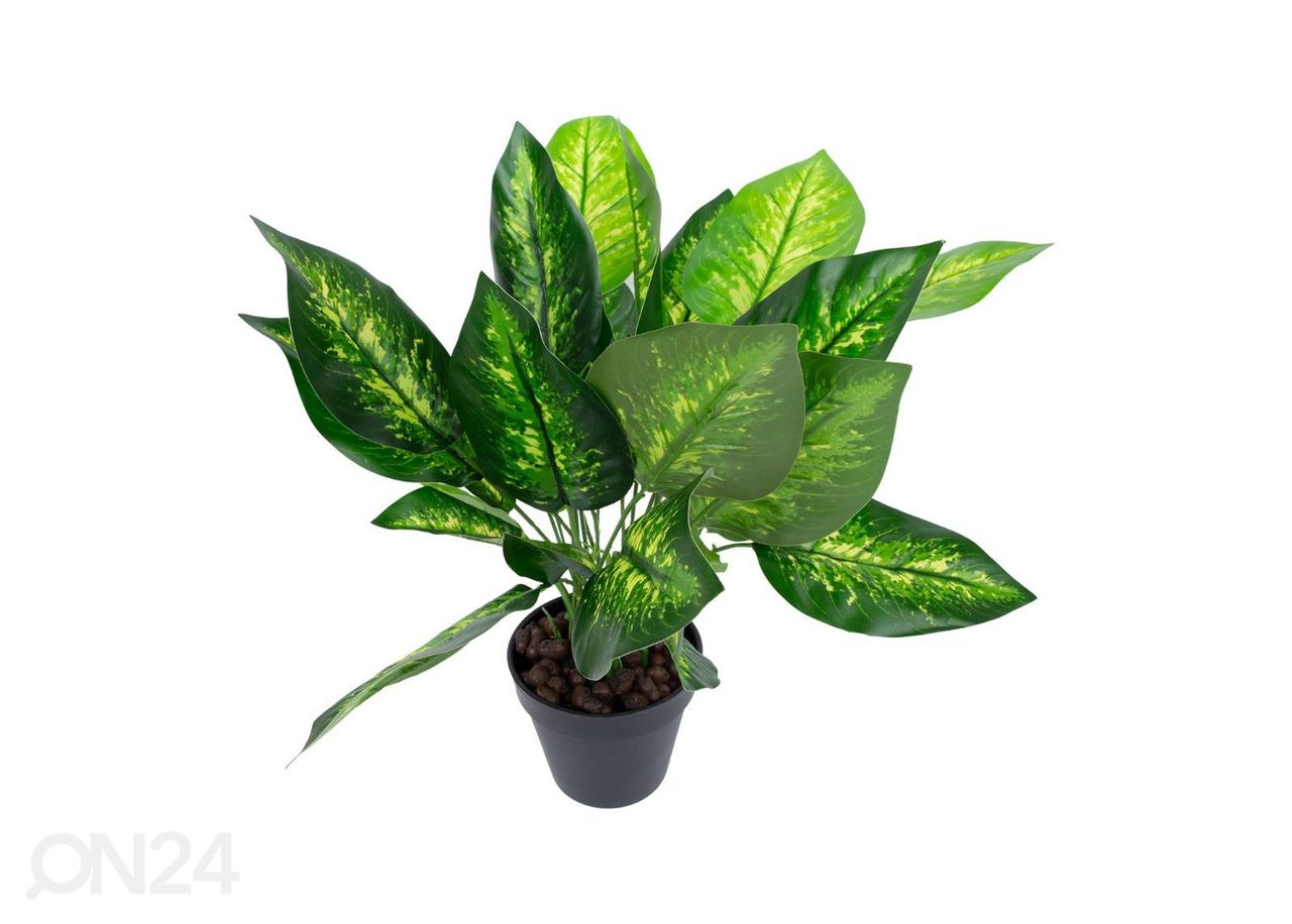 Kunsttaim Dieffenbachia 45 cm suurendatud