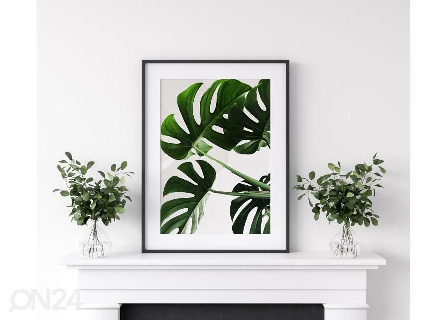 Poster Monstera 21x30 cm suurendatud