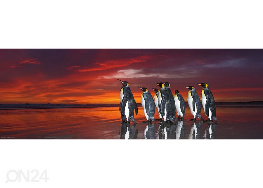 Pusle King Penguins 1000 tk suurendatud