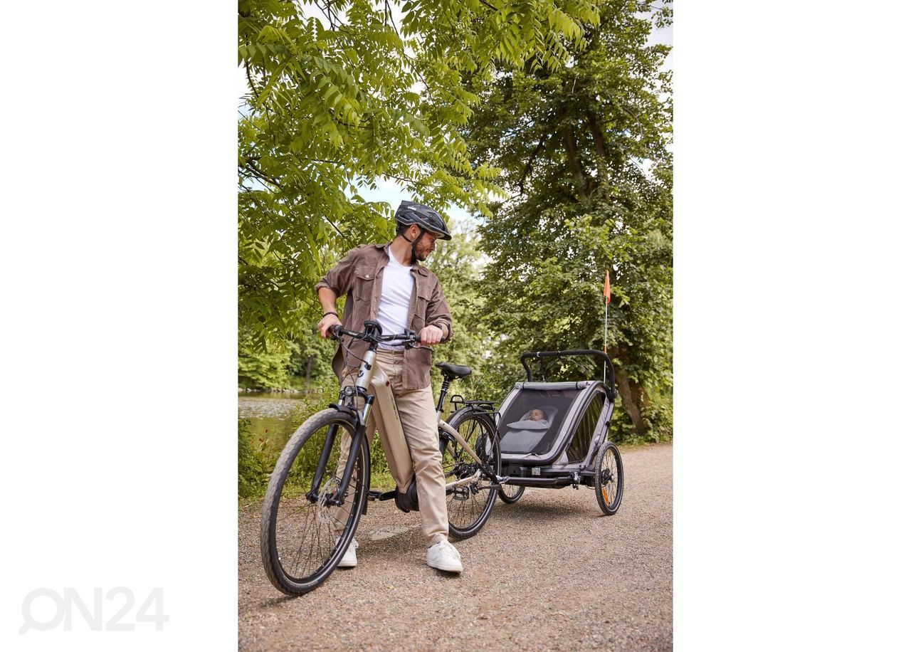 Rattakäru beebiiste Hauck Baby Lounger 2, hall suurendatud