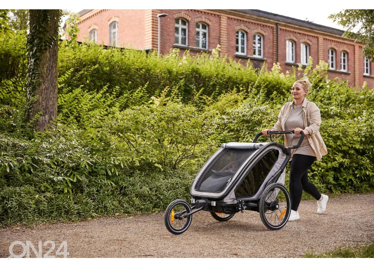 Rattakäru beebiiste Hauck Baby Lounger 2, hall suurendatud