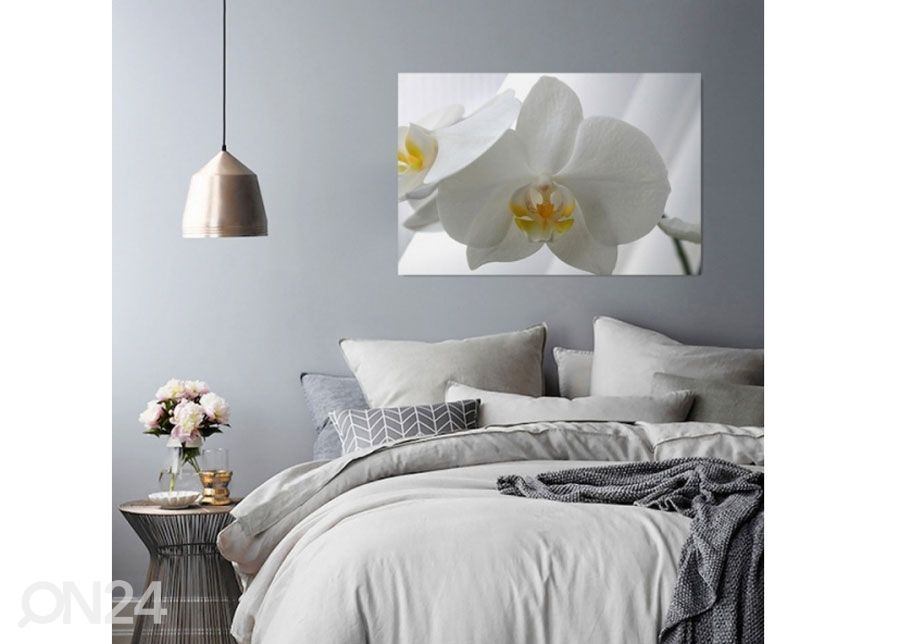 Seinapilt White orchids 40x50 cm suurendatud