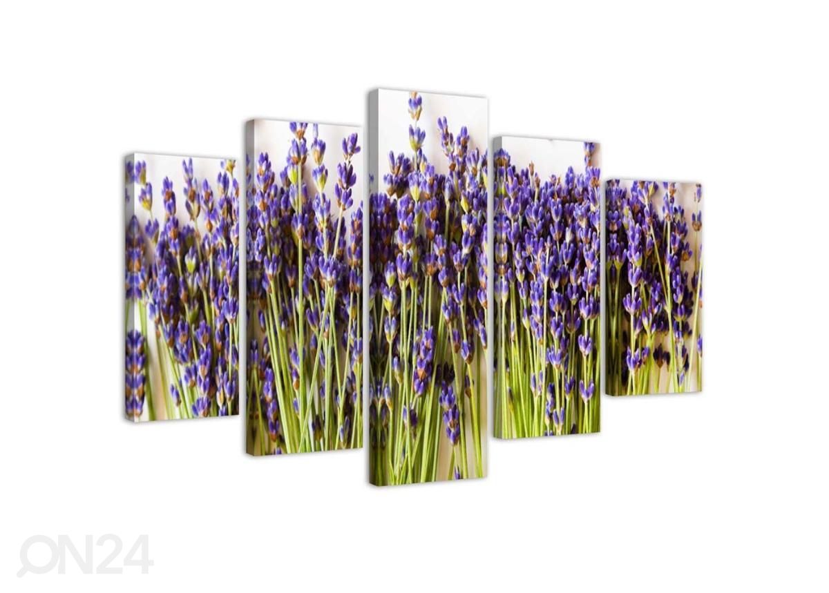 Viieosaline seinapilt Lavender 150x100 cm suurendatud