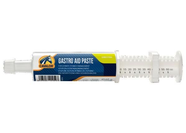 Hobuse täiendsööt gastro8 paste 60 g n1