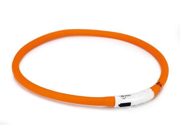 Kaelarihm dogini LED+usb oranž