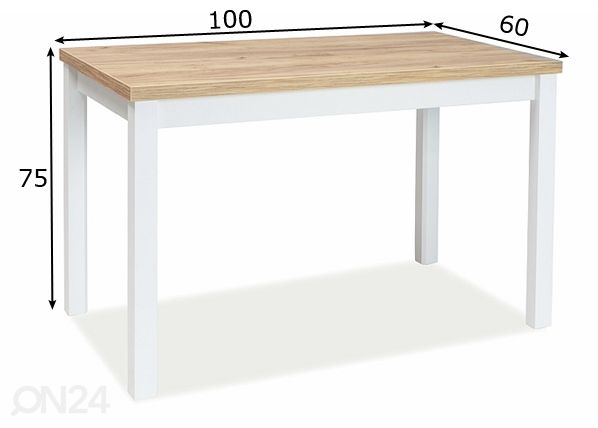 Söögilaud Robert 100x60 cm mõõdud