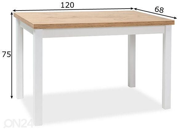 Söögilaud Robert 120x68 cm mõõdud