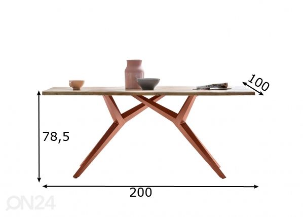 Söögilaud Tische 100x200 cm mõõdud