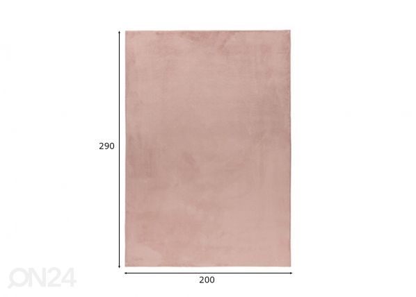 Vaip LOFT Powder Pink 200x290 cm mõõdud