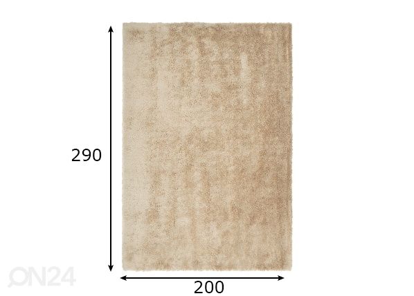 Vaip Velvet Ivory 200x290 cm mõõdud