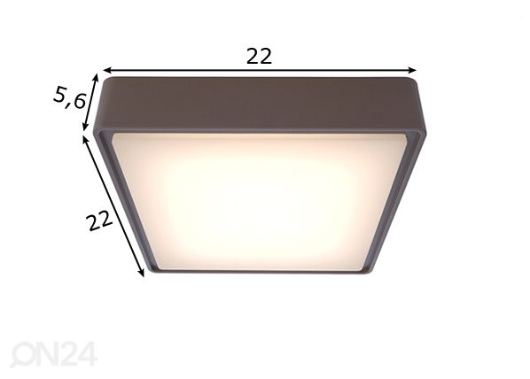 Välisvalgusti Quadra 10 W LED mõõdud