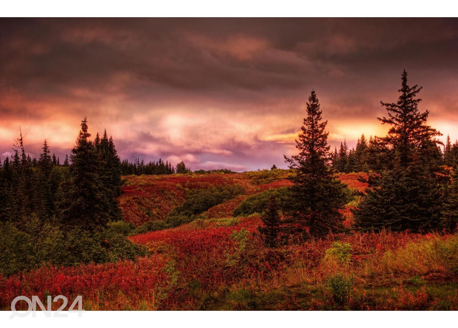 Fliis fototapeet Alaska Sunset suurendatud