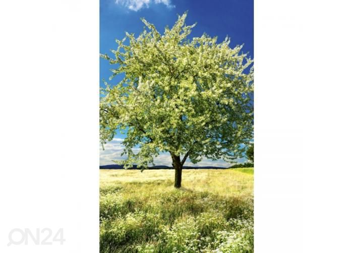 Fliis fototapeet Blossom tree 150x250 cm suurendatud