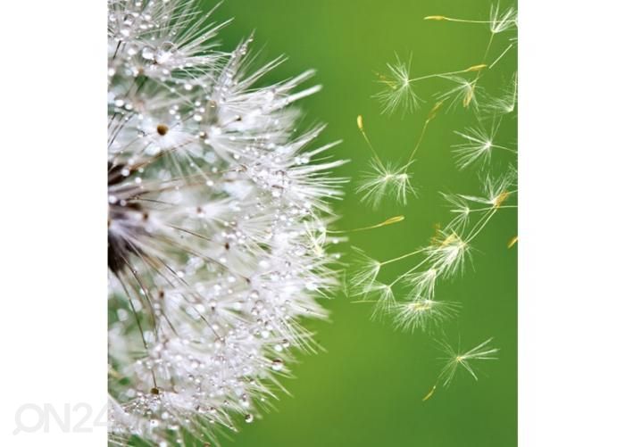 Fliis fototapeet Blowing dandelion 225x250 cm suurendatud