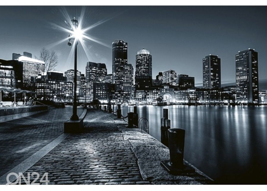 Fliis fototapeet Boston 150x250 cm suurendatud