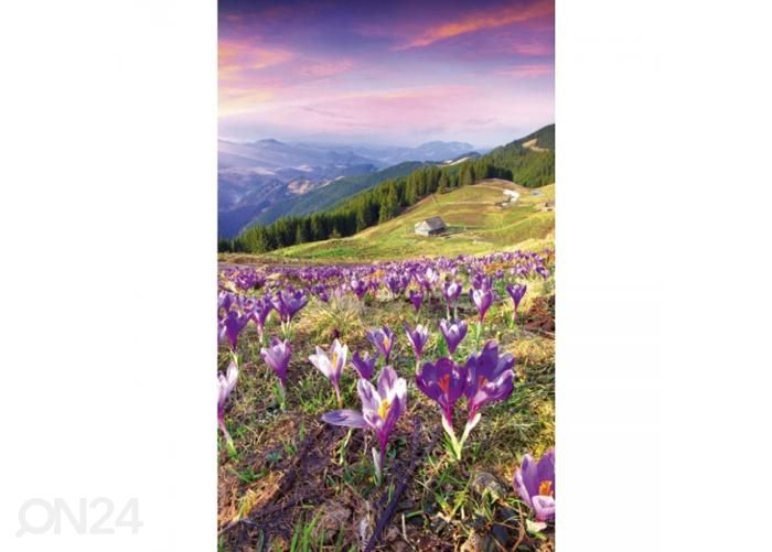 Fliis fototapeet Crocuses at spring 150x250 cm suurendatud