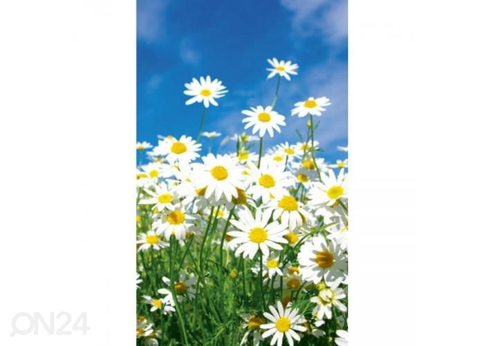 Fliis fototapeet Daisies 150x250 cm suurendatud