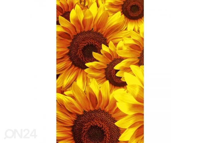 Fliis fototapeet Helianthus 150x250 cm suurendatud