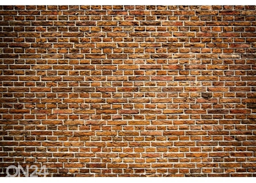 Fliis fototapeet Old brick 150x250 cm suurendatud