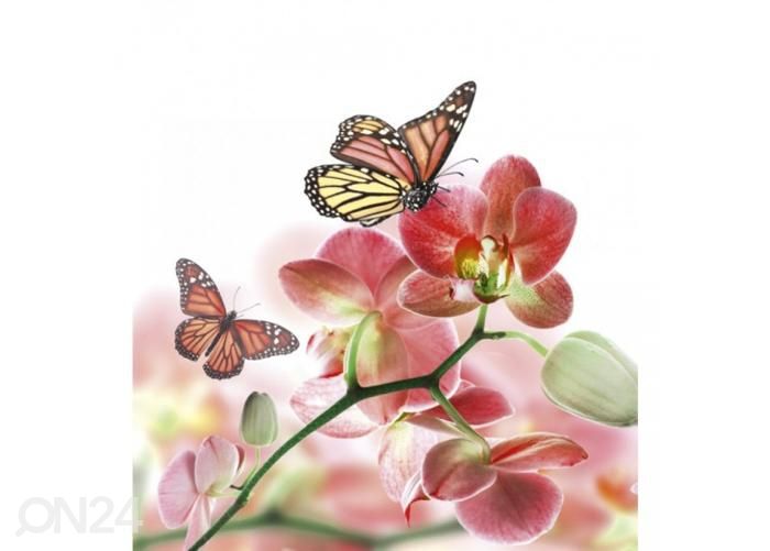 Fliis fototapeet Orchids and butterfly 225x250 cm suurendatud