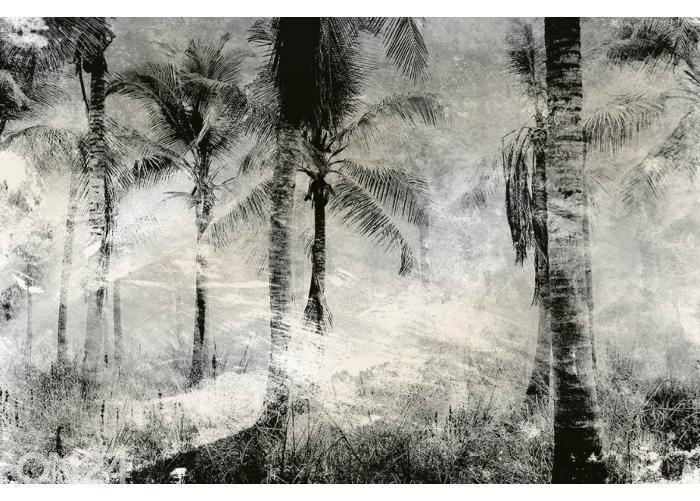 Fliis fototapeet Palm Trees Abstract 225x250 cm suurendatud