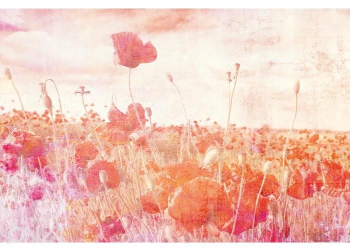 Fliis fototapeet Poppies Abstract 150x250 cm suurendatud