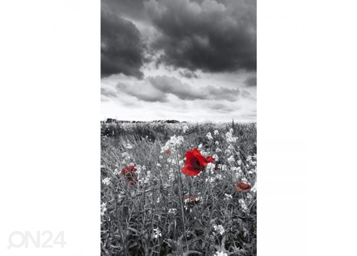 Fliis fototapeet Poppies black 150x250 cm suurendatud