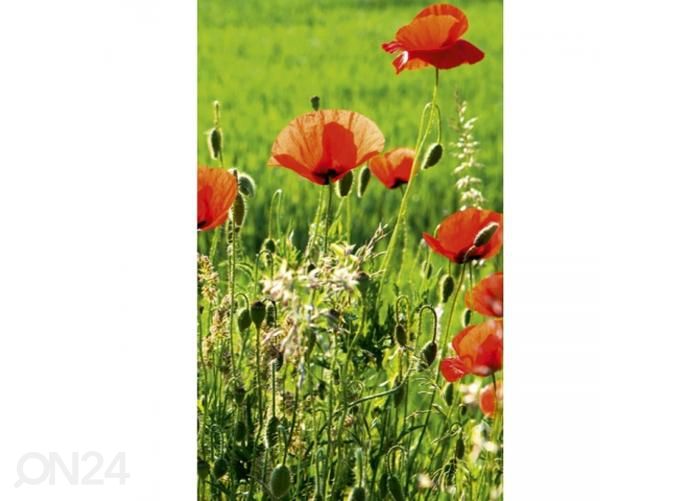 Fliis fototapeet Poppy field 150x250 cm suurendatud