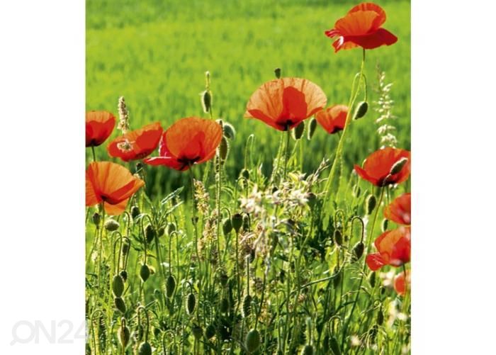 Fliis fototapeet Poppy field 225x250 cm suurendatud