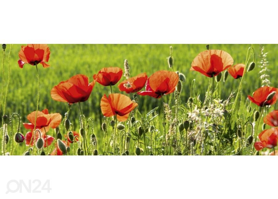 Fliis fototapeet Poppy field 375x150 cm suurendatud