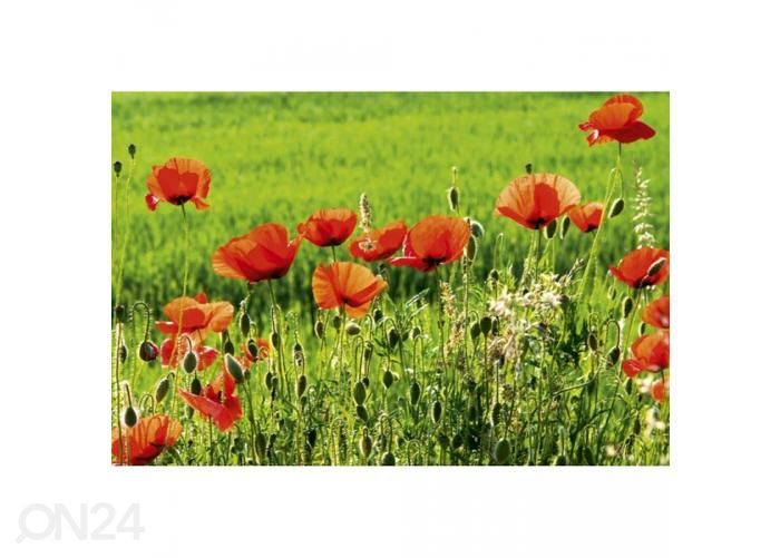 Fliis fototapeet Poppy field 375x250 cm suurendatud