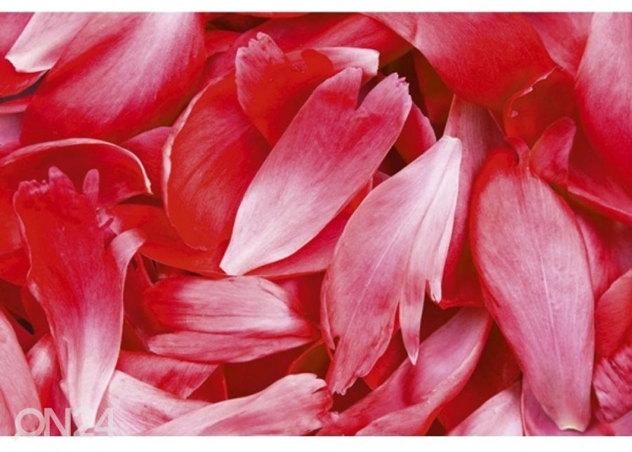 Fliis fototapeet Red petals 225x250 cm suurendatud