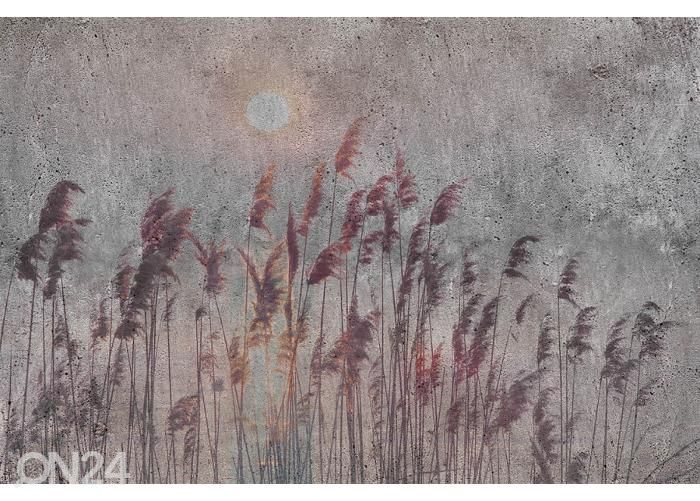 Fliis fototapeet Reed Abstract 150x250 cm suurendatud