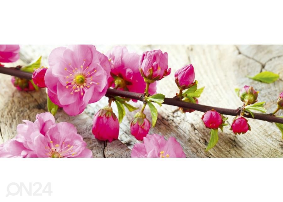 Fliis fototapeet Sakura 375x150 cm suurendatud