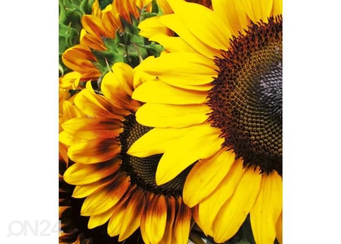 Fliis fototapeet Sunflowers 225x250 cm suurendatud