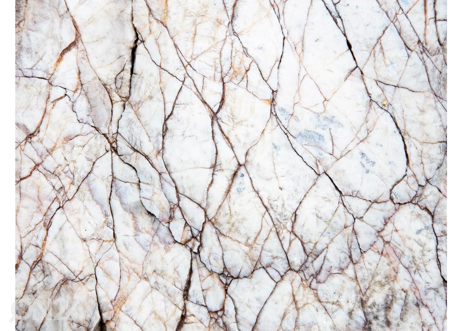 Fliis fototapeet White Marble Texture suurendatud