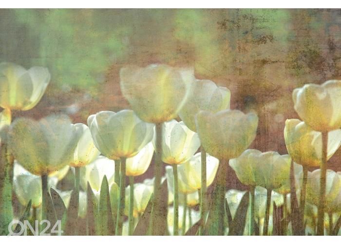 Fliis fototapeet White Tulips Abstract 150x250 cm suurendatud