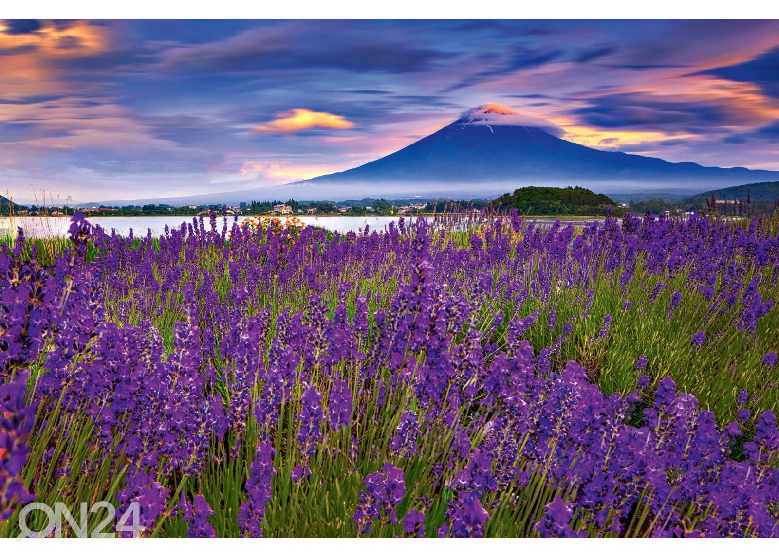 Isekleepuv fototapeet Fuji Mountain And Lavender suurendatud