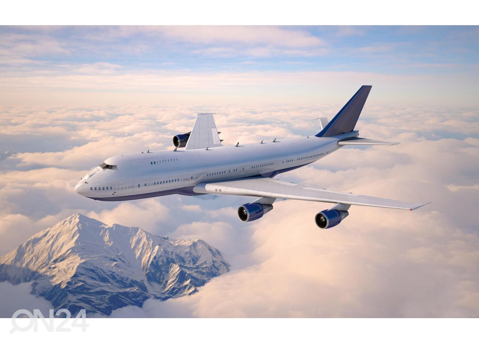 Isekleepuv fototapeet Passenger Aircraft suurendatud