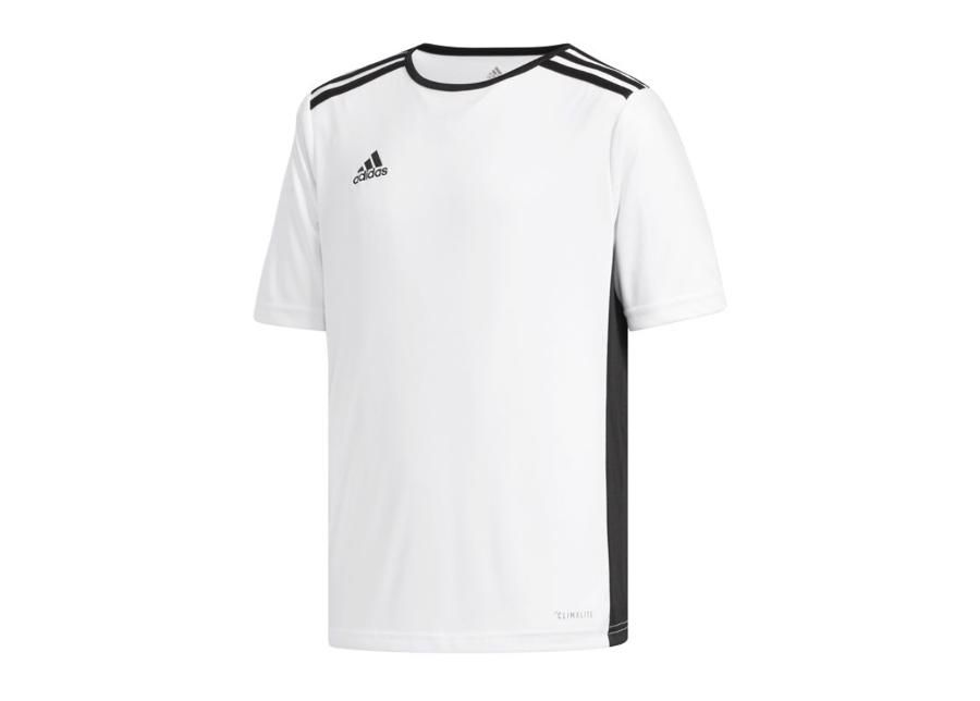 Jalgpallisärk lastele adidas Entrada 18 Jr CF1044 suurendatud