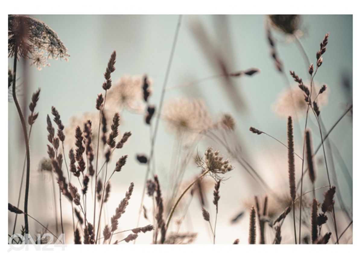 Klaaspilt Dandelion 120x80 cm suurendatud