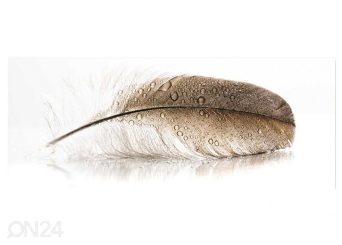 Klaaspilt Feather 125x50 cm suurendatud