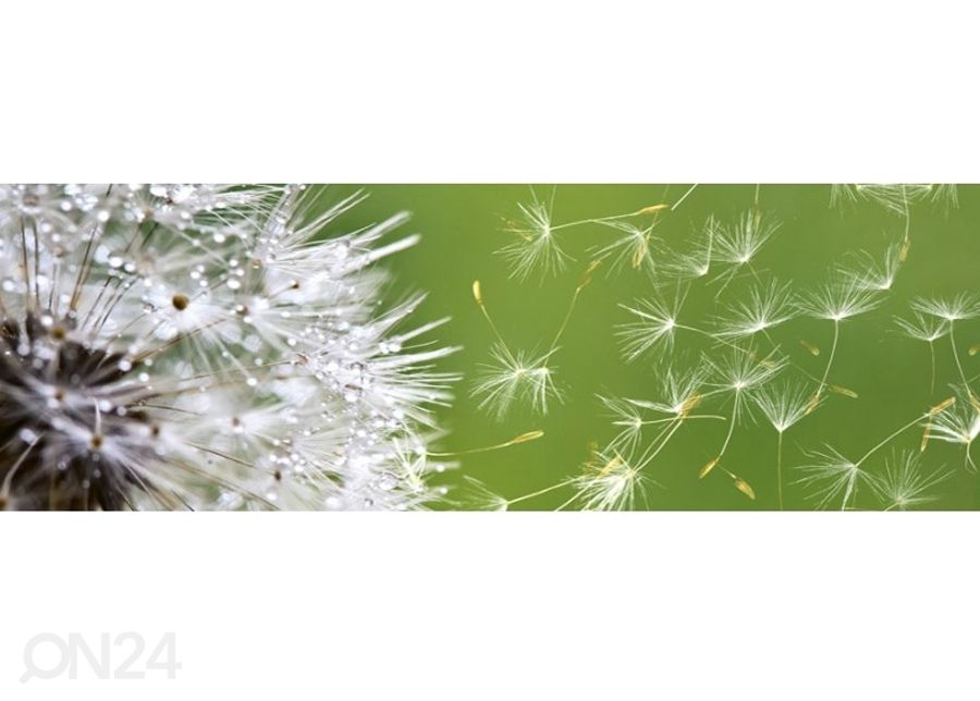 Köögi tagasein Dandelion 180x60 cm suurendatud