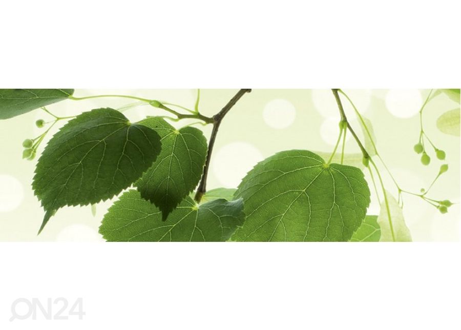 Köögi tagasein Green leaves 180x60 cm suurendatud