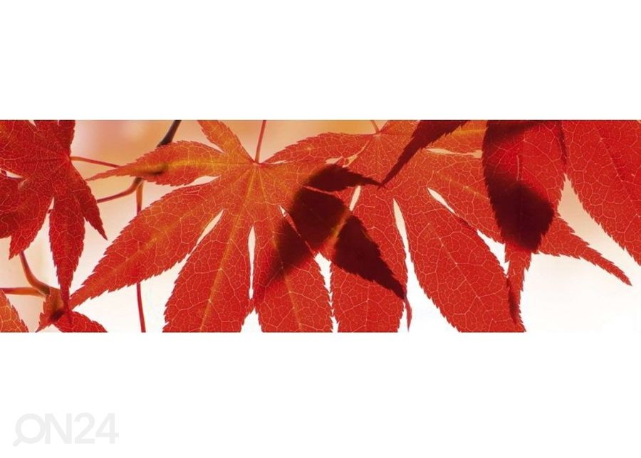 Köögi tagasein Red leaves 180x60 cm suurendatud