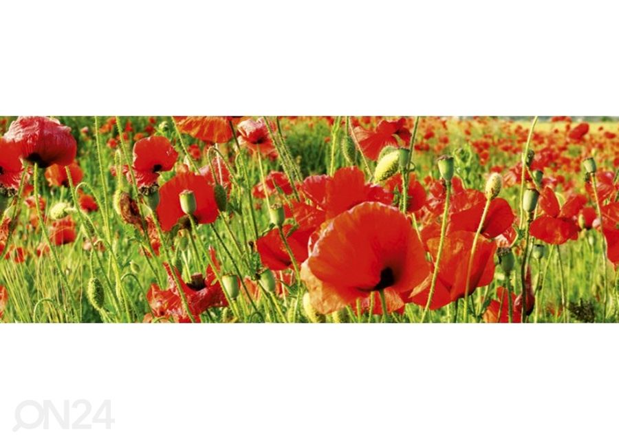 Köögi tagasein Red poppies 180x60 cm suurendatud