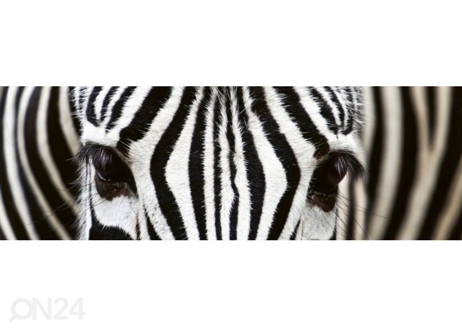 Köögi tagasein Zebra 180x60 cm suurendatud