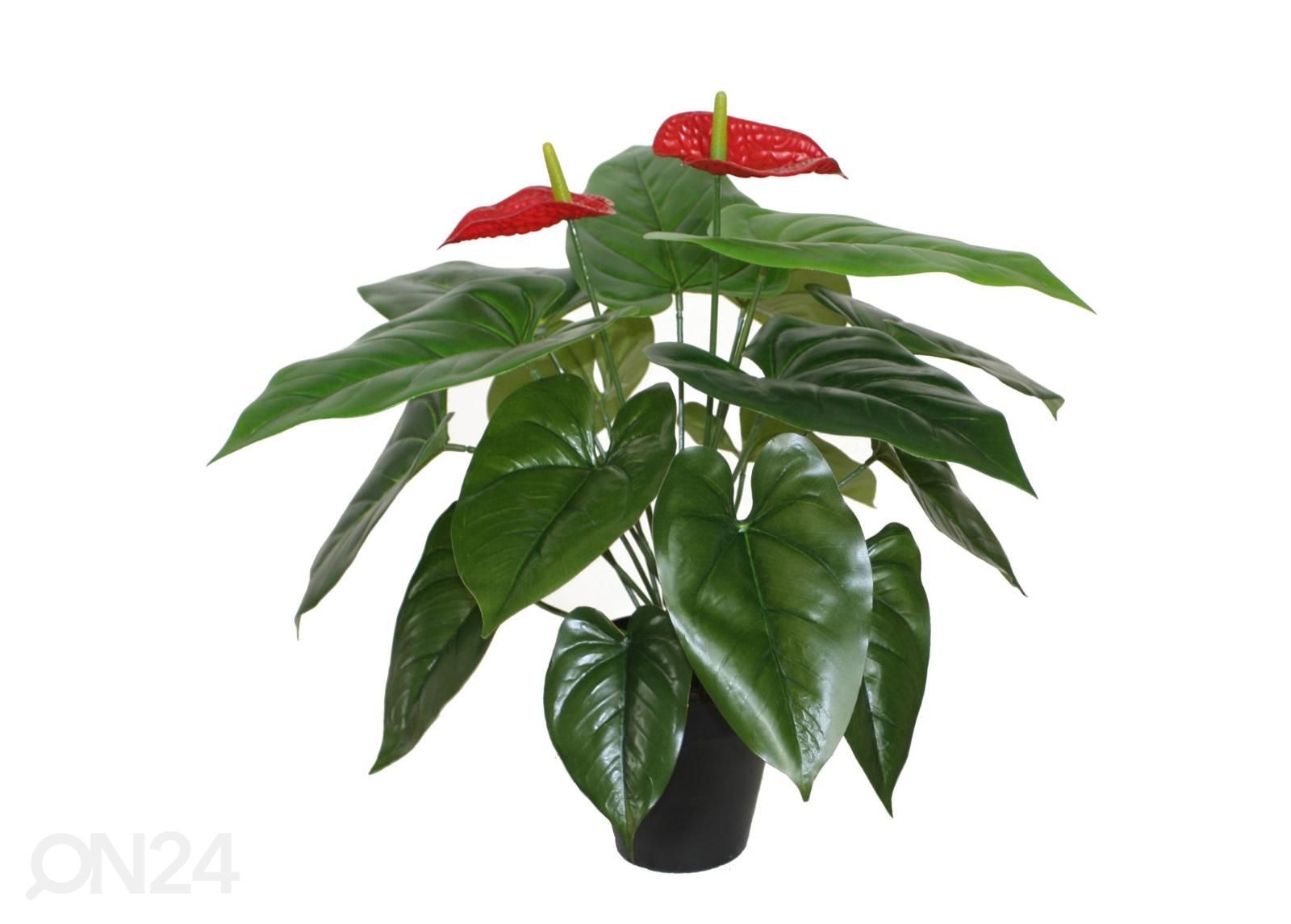 Kunsttaim Anthurium 45 cm suurendatud