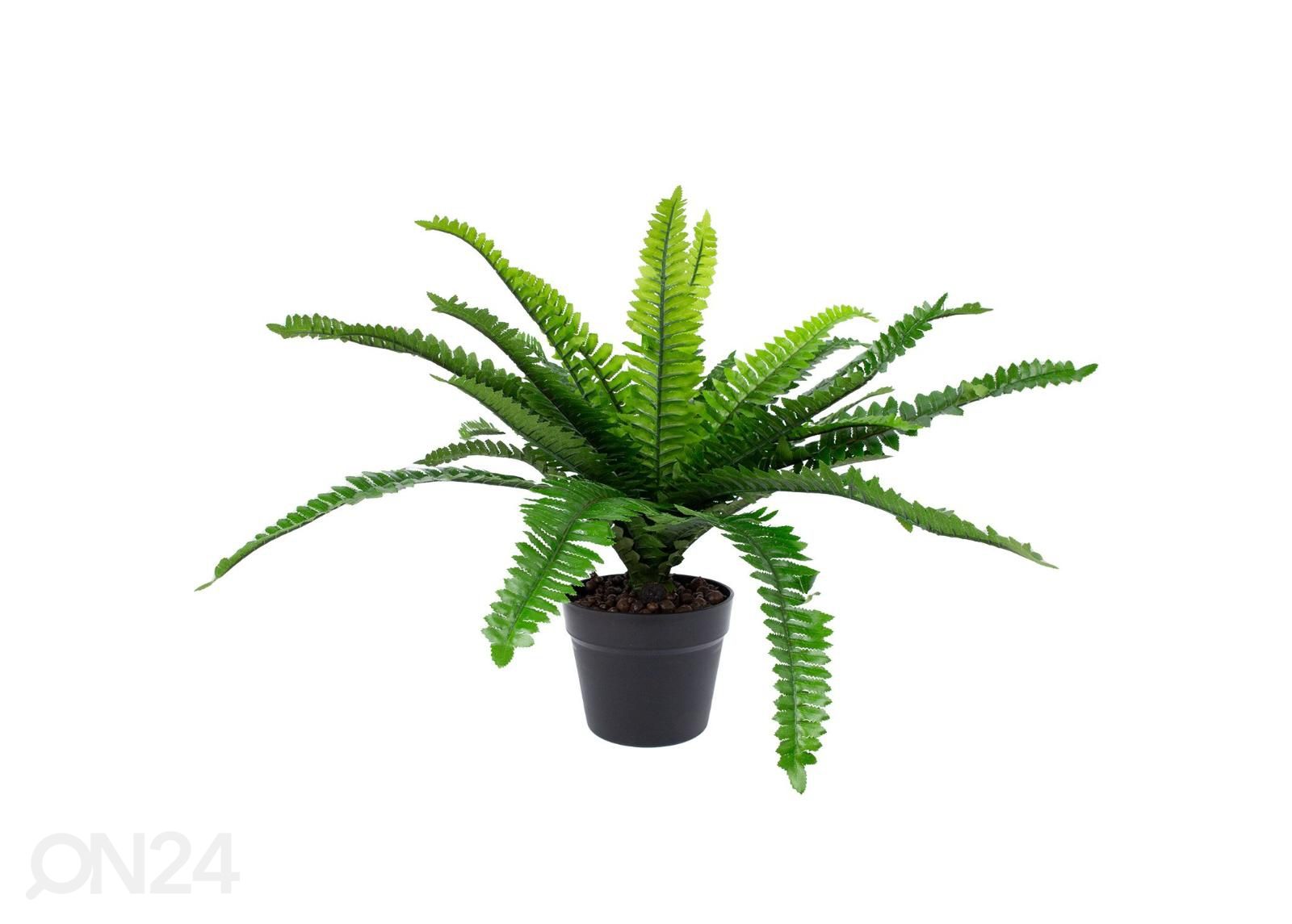 Kunsttaim Boston fern 60 cm suurendatud